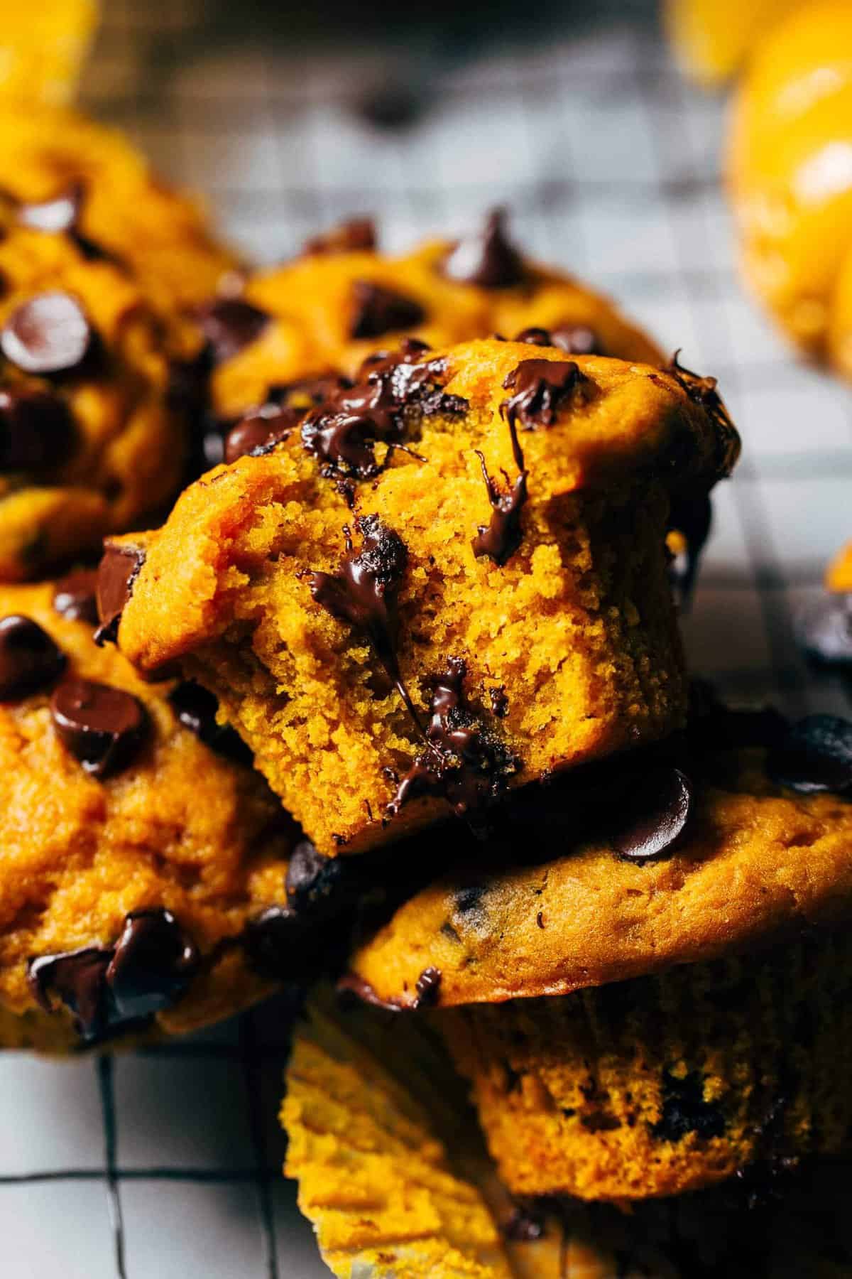 Moist Pumpkin Chocolate Chip Muffins: Your Go-To Fall Treat