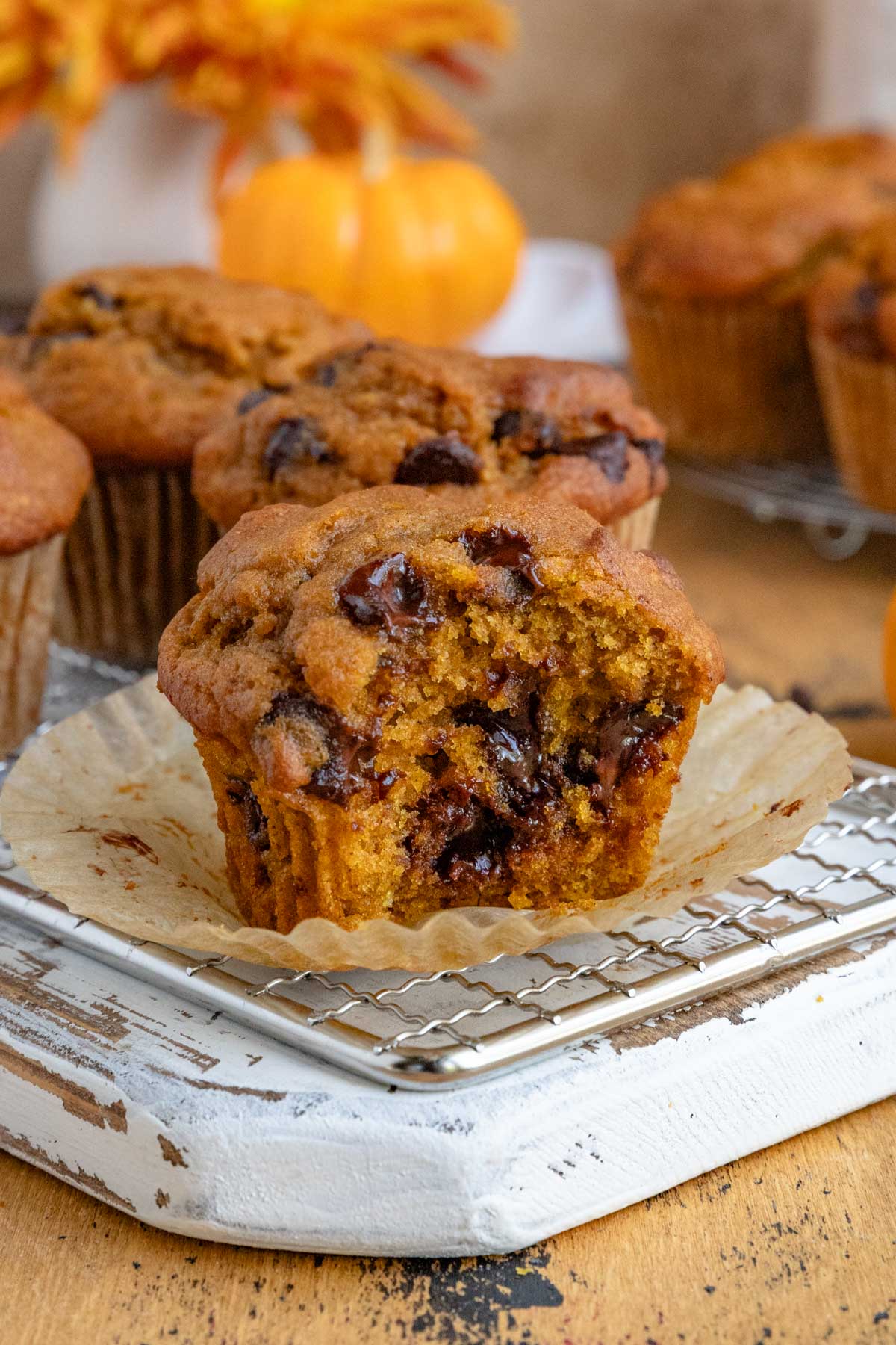 Step-by-Step: Perfect Domed Pumpkin Chocolate Chip Muffins